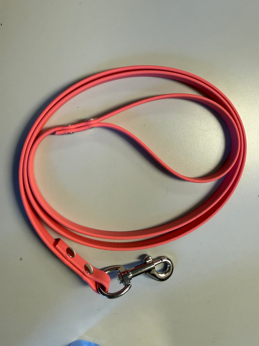 3/8-Inch Custom-Length Biothane Leash – Made to Order