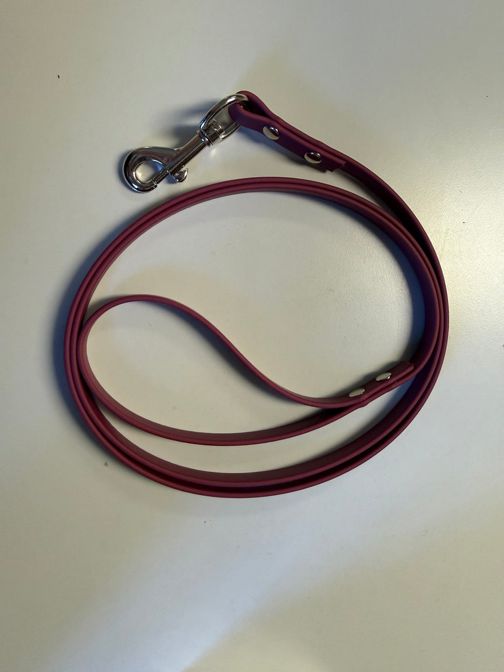 3/8-Inch Custom-Length Biothane Leash – Made to Order