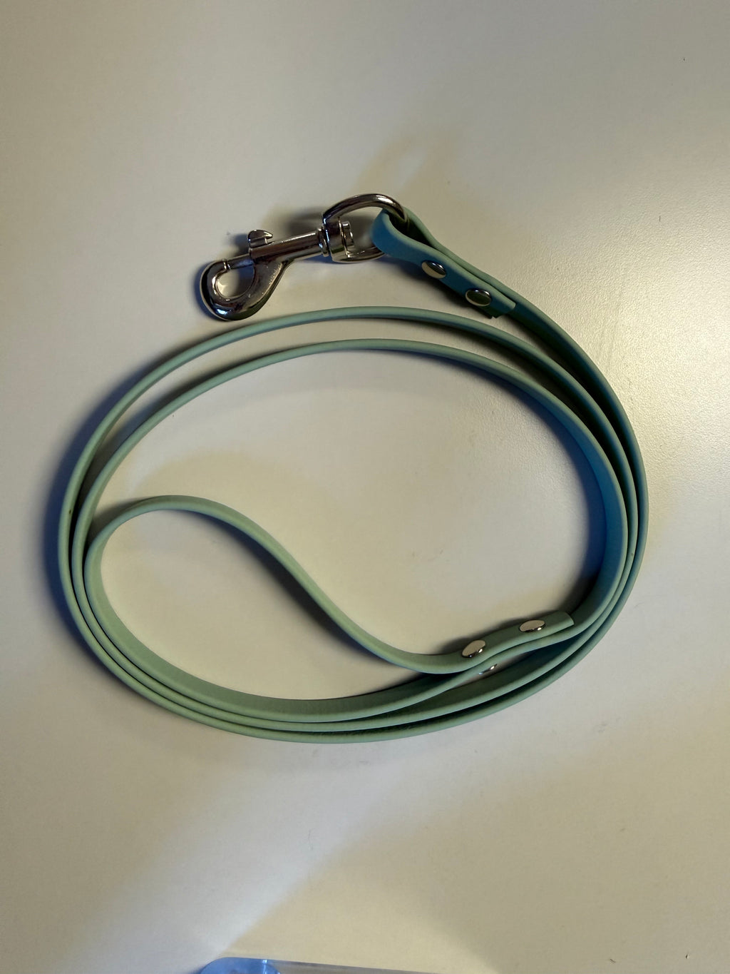 Custom-length Biothane dog leash