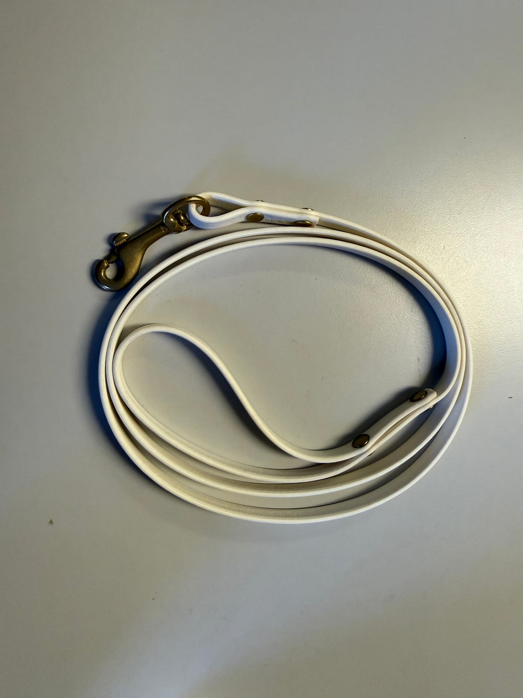 3/8-Inch Custom-Length Biothane Leash – Made to Order