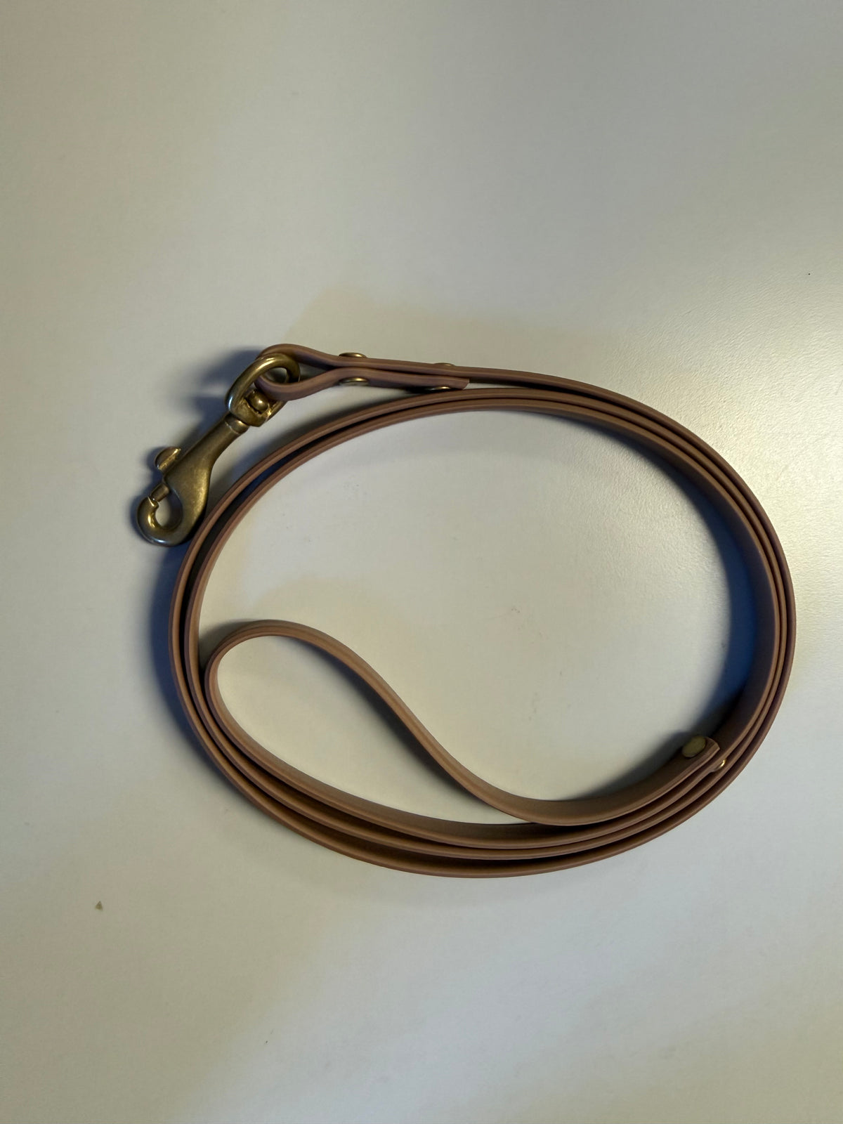 3/8-Inch Custom-Length Biothane Leash – Made to Order