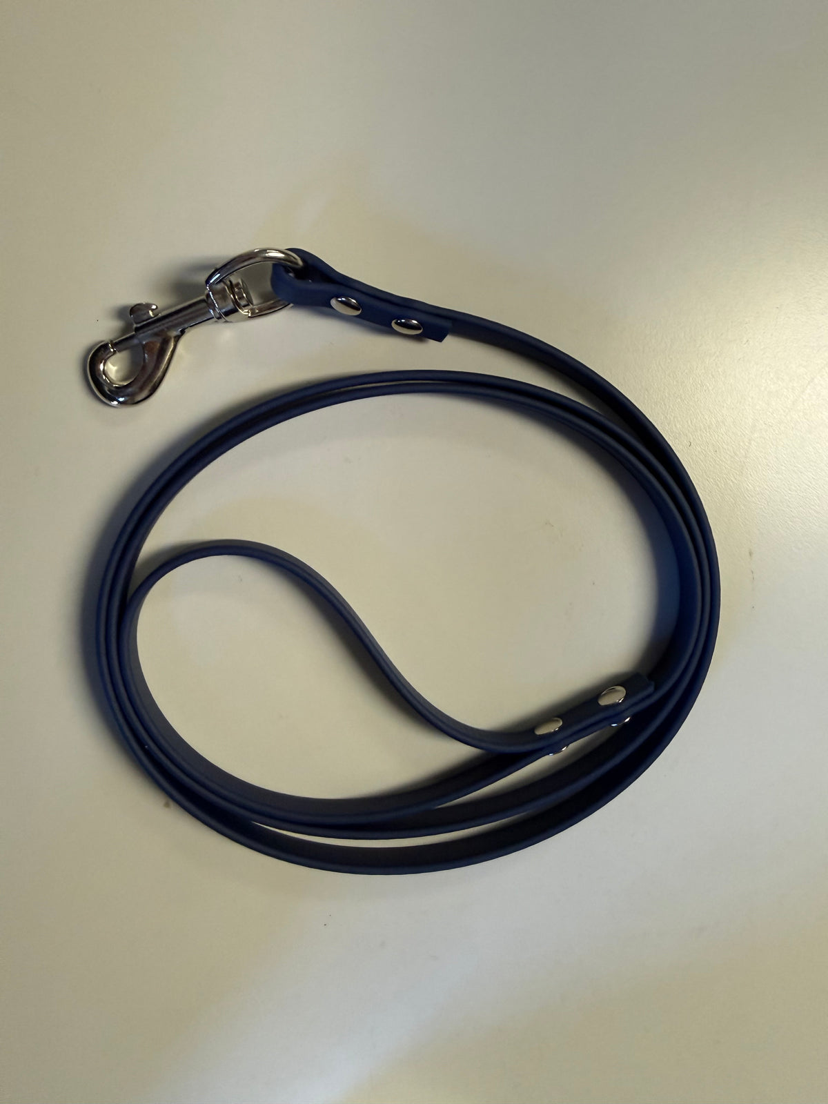 3/8-Inch Custom-Length Biothane Leash – Made to Order