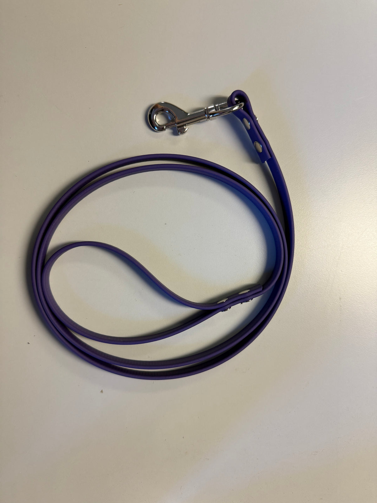 3/8-Inch Custom-Length Biothane Leash – Made to Order