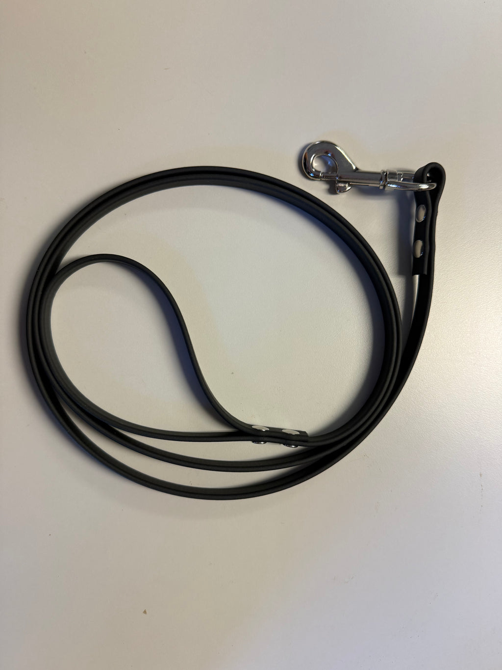 3/8-Inch Custom-Length Biothane Leash – Made to Order