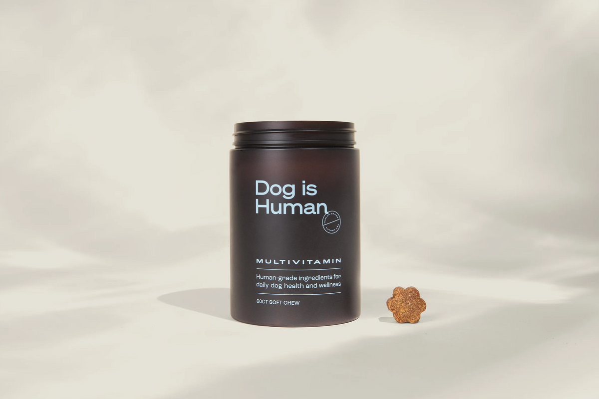 Dog is Human Multivitamin container with a soft chew