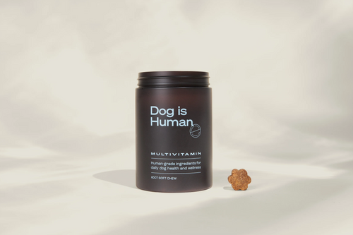 Dog is Human Multivitamin container with a soft chew